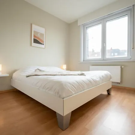 Apartment Casa Andrei With Parking In The House By Interhome Blankenberge